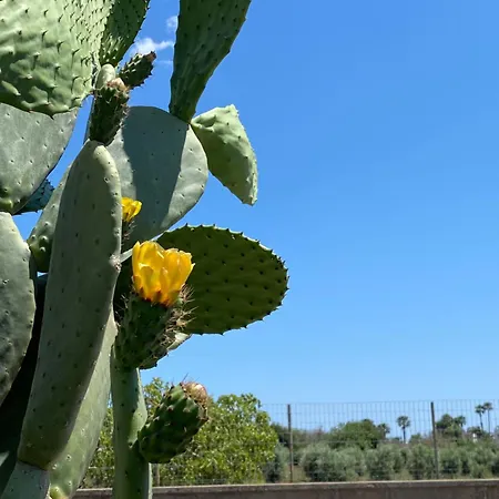 Lejlighed A Casa Di Ada