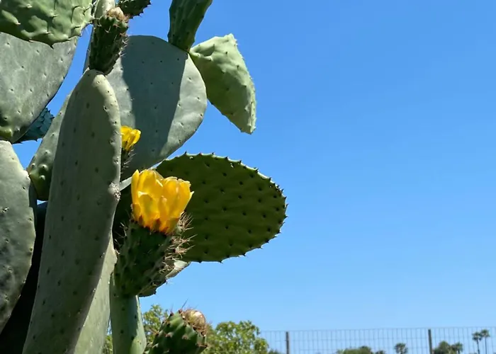Apartamento A Casa Di Ada
